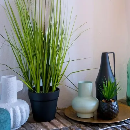 Le Botanica Ανζέρ